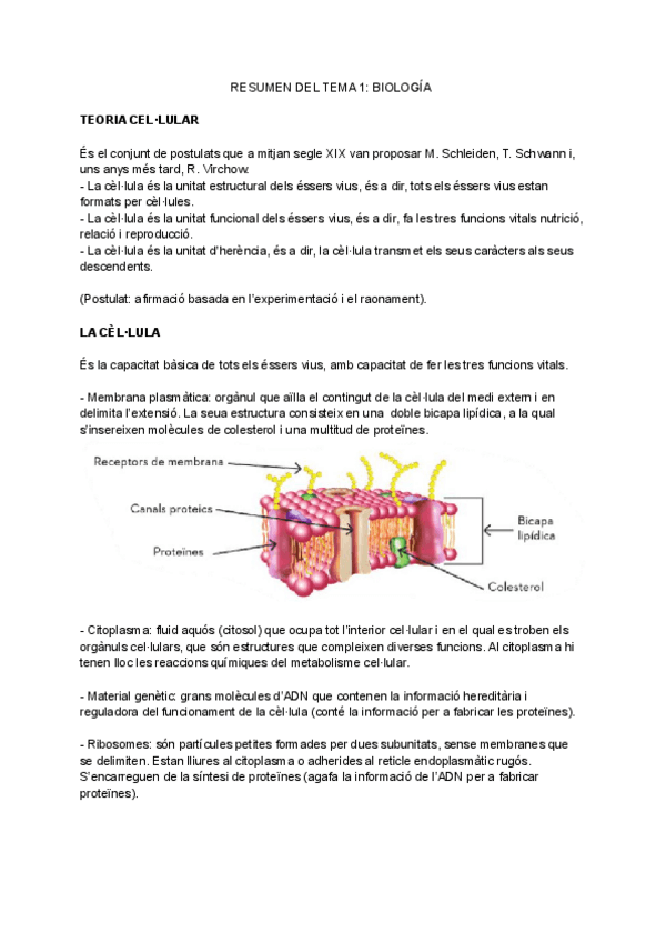 Miniatura del documento TEMA-1-BIOLOGIA.pdf