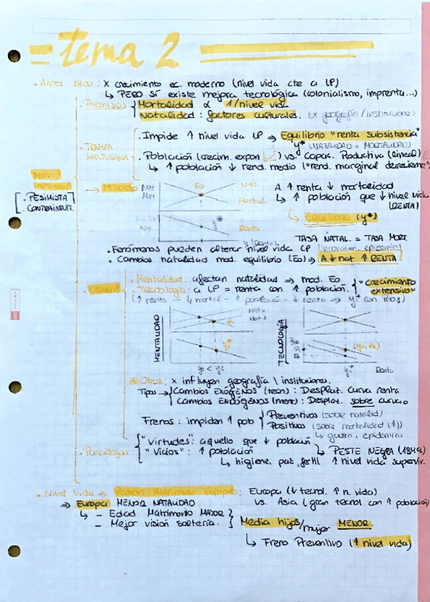 Miniatura del documento Resumen-historia.pdf