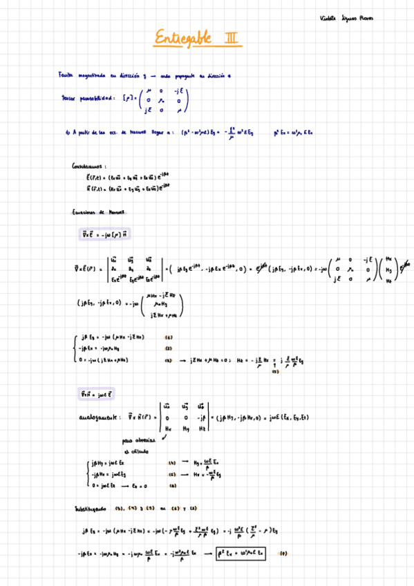 Miniatura del documento Entregable-III.pdf