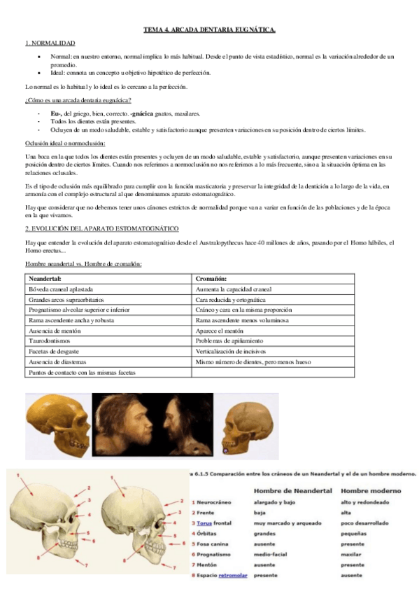 Miniatura del documento Tema-4.pdf