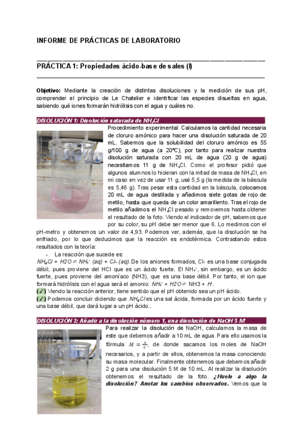 Miniatura del documento Practicas-hechas.pdf