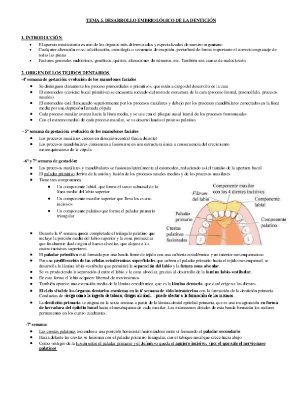 Miniatura del documento Tema-5.pdf