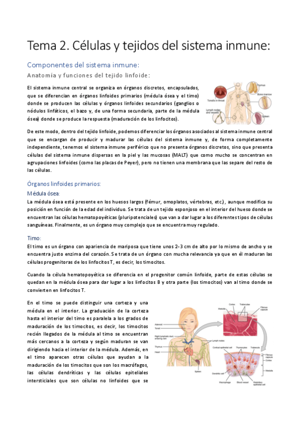 Miniatura del documento Tema-2.pdf