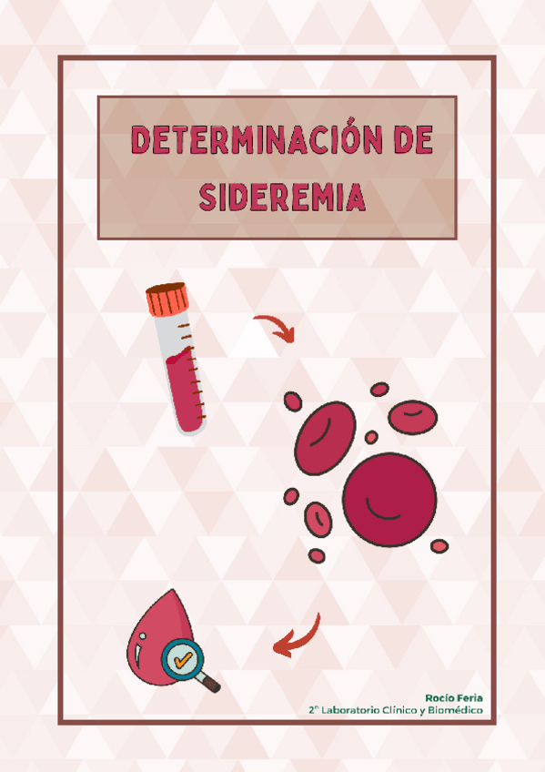 Miniatura del documento Practica-7A-Hematologia-Determminacion-de-Sideremia.pdf