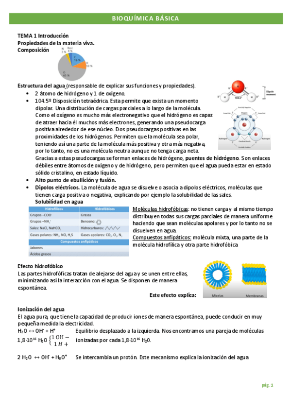 Miniatura del documento VÍDEOS apuntes muy completos