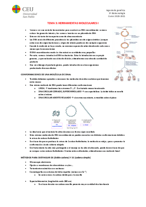 Miniatura del documento TEMA-3.pdf