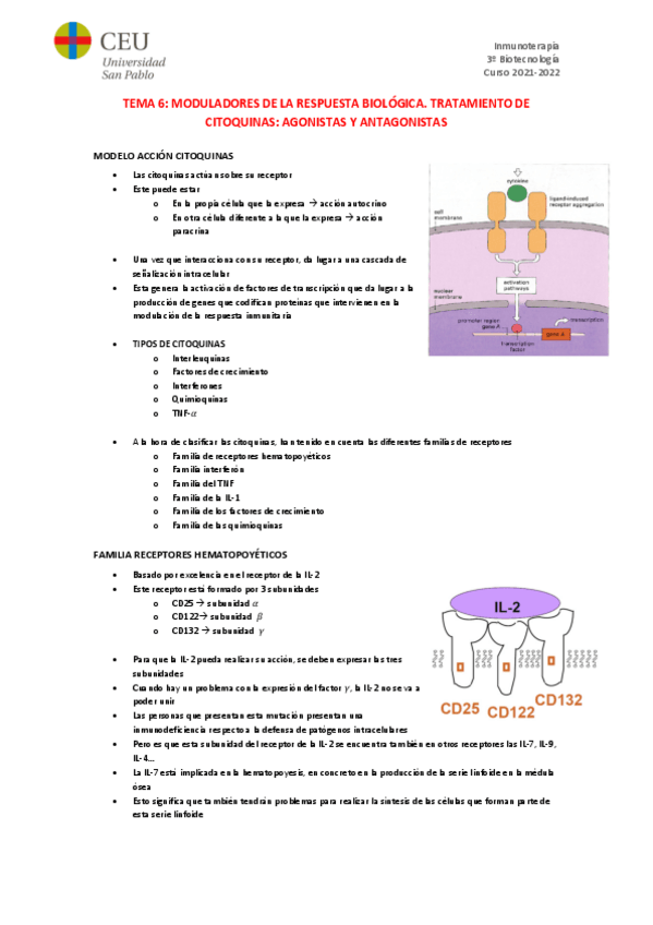 Miniatura del documento TEMA-6.pdf