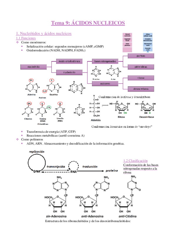 Miniatura del documento BQ-apuntes-tema-9-.pdf