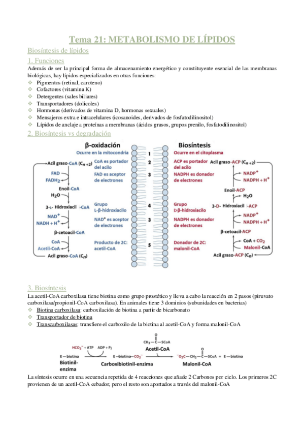 Miniatura del documento BQ-apuntes-tema-21.pdf