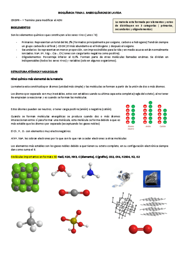 Miniatura del documento BIOQUIMICA.pdf