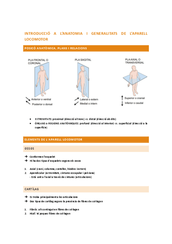 Miniatura del documento Aparell-locomotor.pdf