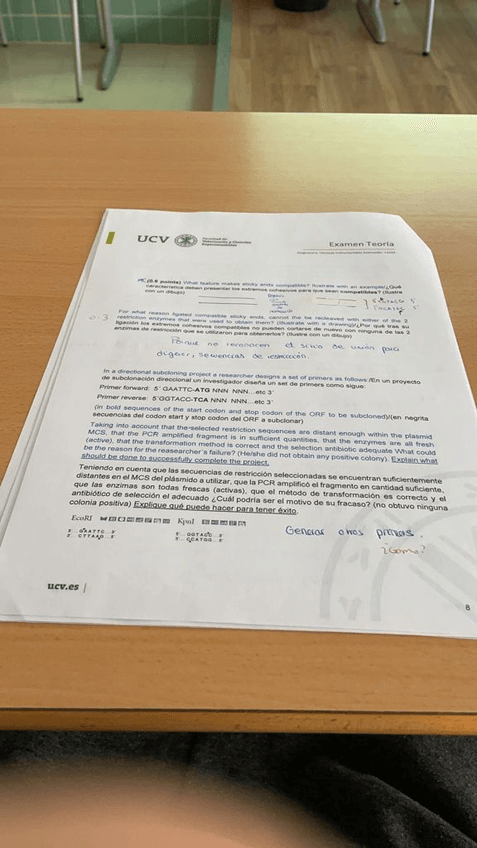 Miniatura del documento WhatsApp-Image-2021-09-27-at-11.jpg