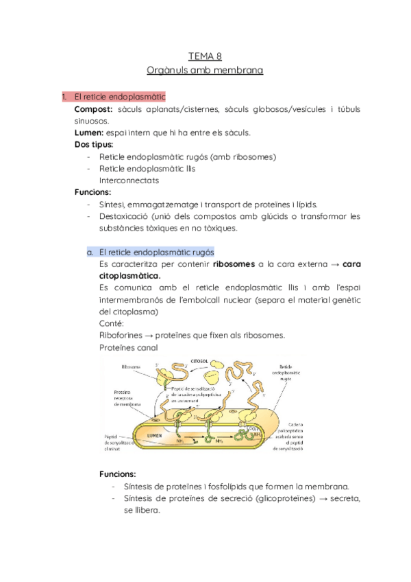 Miniatura del documento resumen-bio-T-8.pdf
