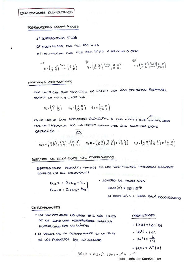 Miniatura del documento Algebra Resumen Completo.pdf