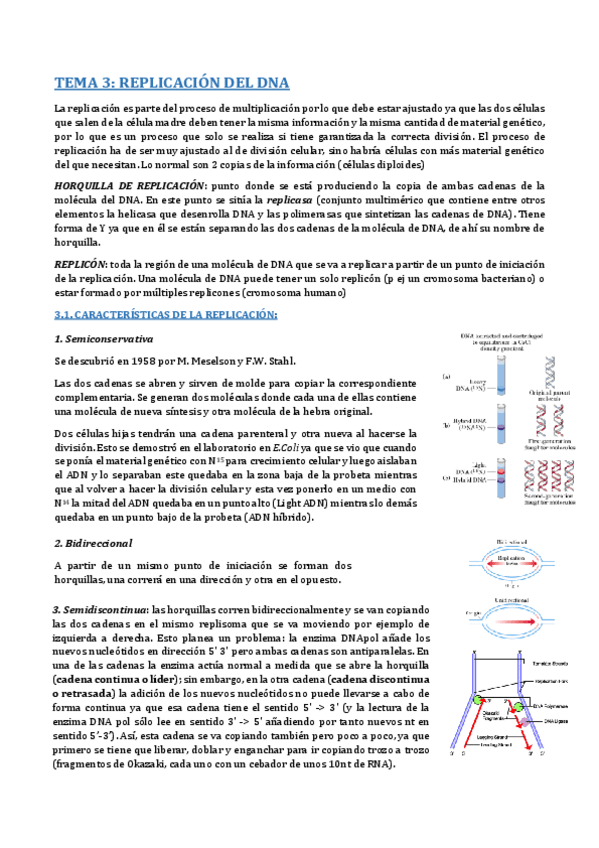 Miniatura del documento TEMA 3- REPLICACIÓN.pdf