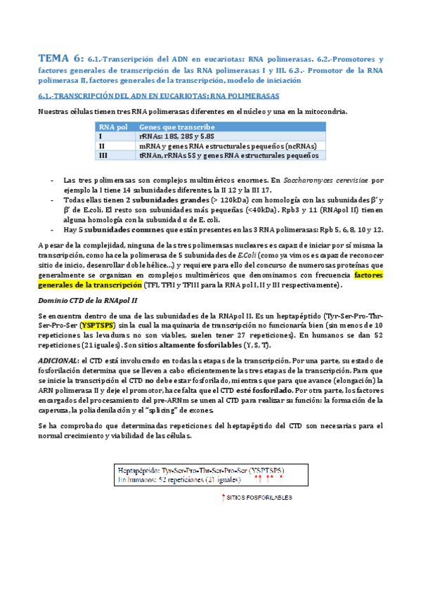 Miniatura del documento TEMA 6- TRANSCRIPCIÓN 2.pdf