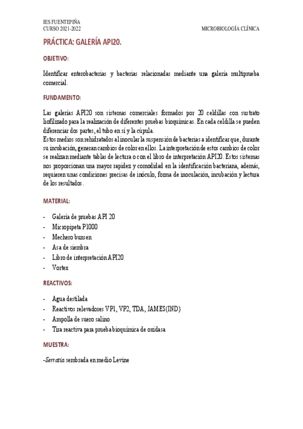 Miniatura del documento Microbiologia-Practica-API20.pdf