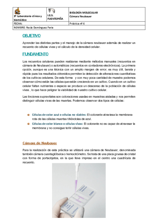 Miniatura del documento Practica-6Camara-Neubauer.pdf