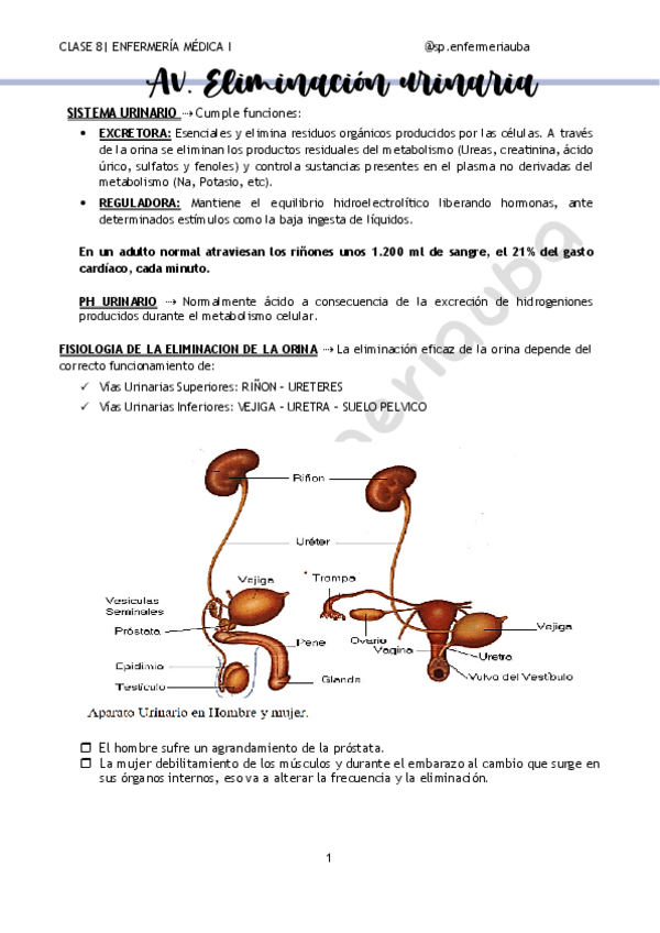 Miniatura del documento CLASE-8-MEDICA-I-STUDY.pdf