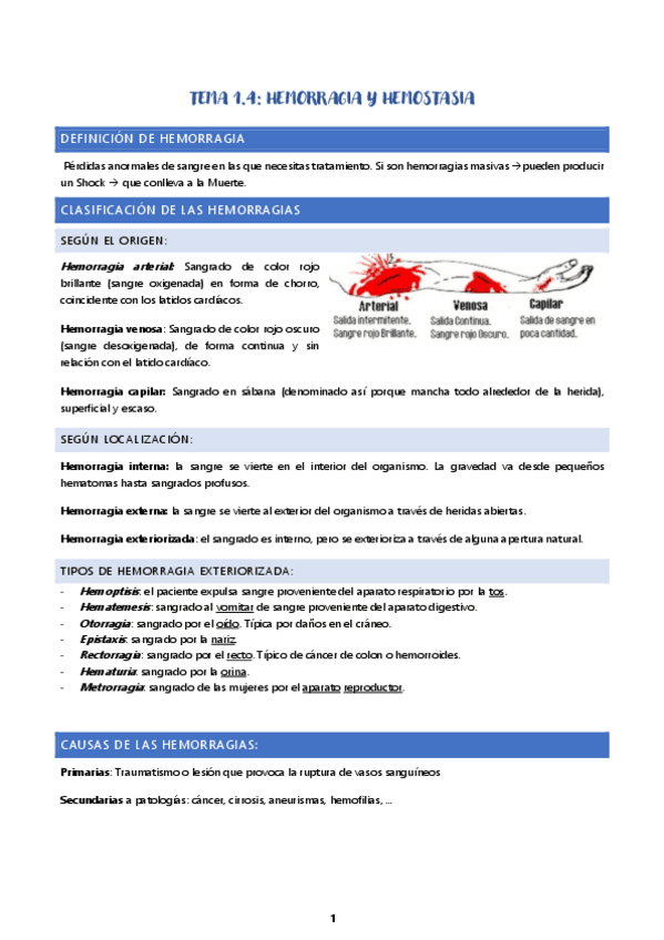 Miniatura del documento Tema-1.pdf