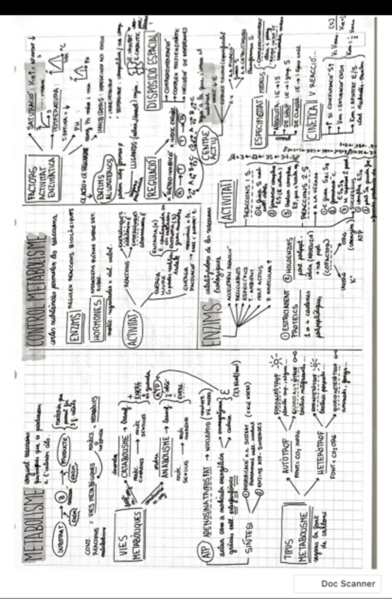 Miniatura del documento Biologia-selectivitat.pdf
