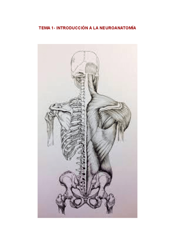 Miniatura del documento TEMA-1.pdf