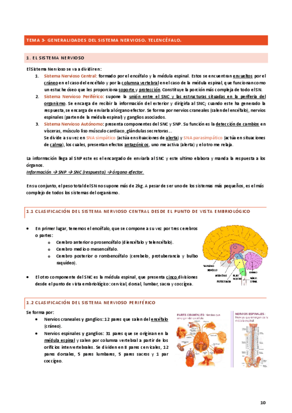 Miniatura del documento TEMA-3.pdf