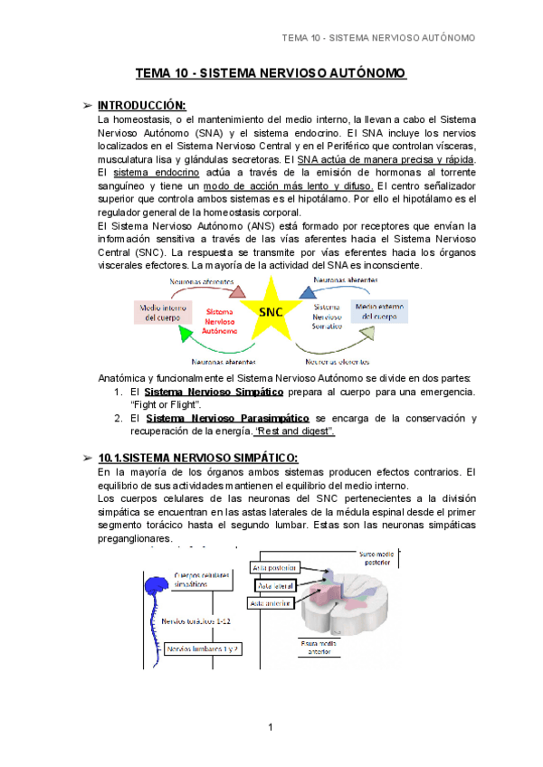 Miniatura del documento TEMA-10-SNA-1.pdf