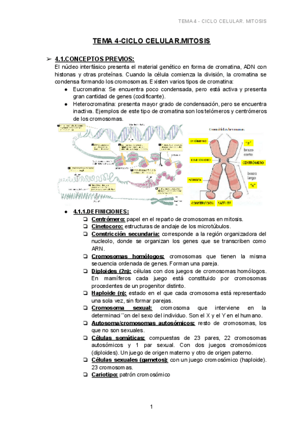 Miniatura del documento TEMA-4-CICLO-CELULAR.pdf