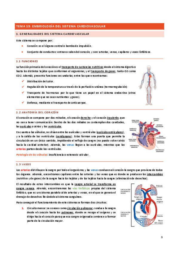 Miniatura del documento TODO-CARDIO.pdf