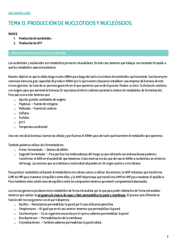 Miniatura del documento TEMA-13.pdf