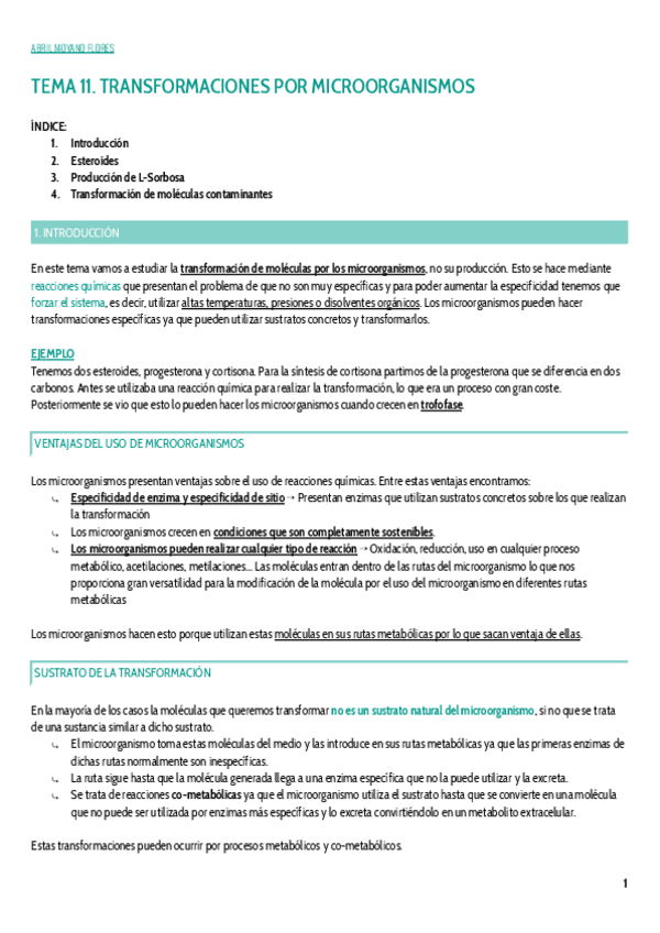 Miniatura del documento TEMA-11.pdf