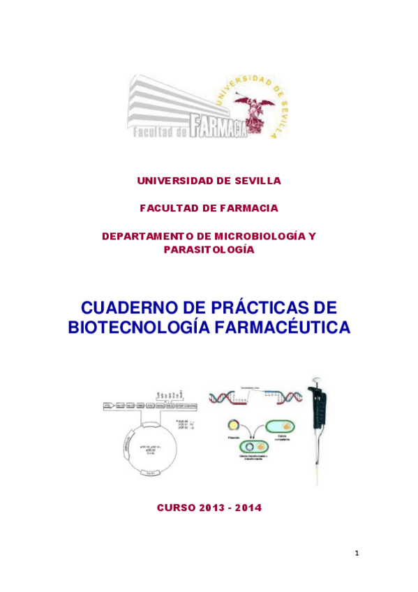 Miniatura del documento PRÁCTICAS DE BIOTECNOLOGÍA FARMACÉUTICA.pdf