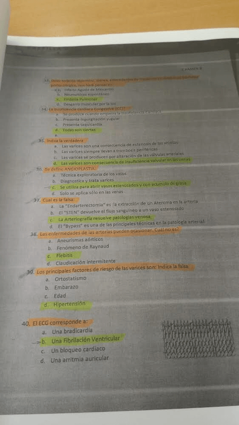 Miniatura del documento IMG4395.png