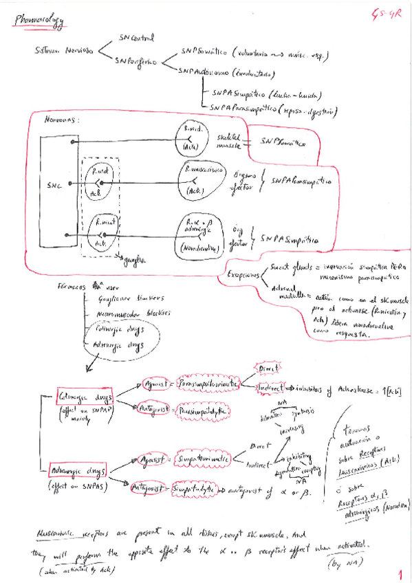 Miniatura del documento Pharmacology-IMPORTANTE para entender