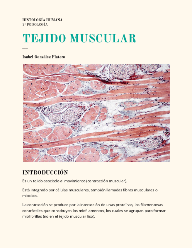 Miniatura del documento tejido-muscular-his.pdf