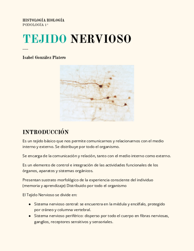 Miniatura del documento TEJIDO-NERVIOSO.pdf