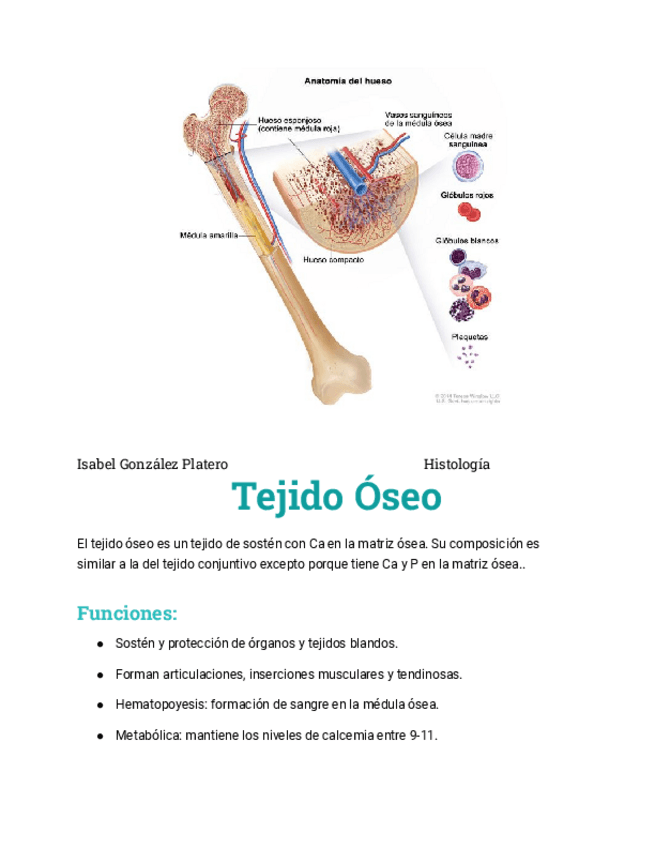 Miniatura del documento tejido-oseo.pdf