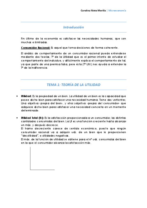 Miniatura del documento TEMA 1.pdf