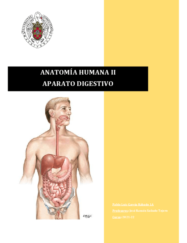 Miniatura del documento Digestivo-Anato.pdf