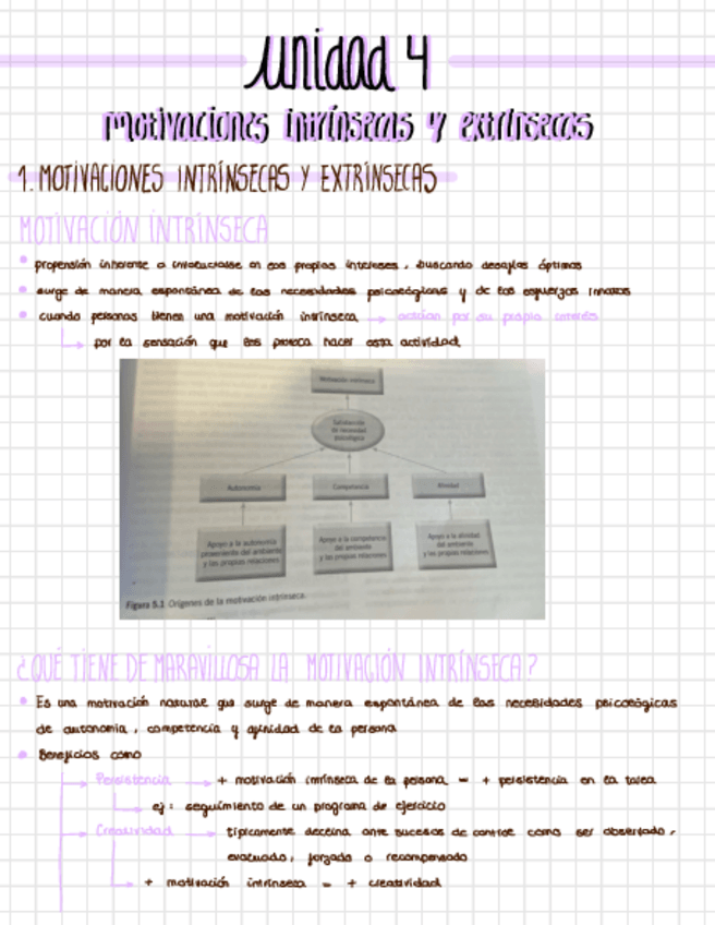 Miniatura del documento APUNTES-MOT-Y-EMO-28-66.pdf