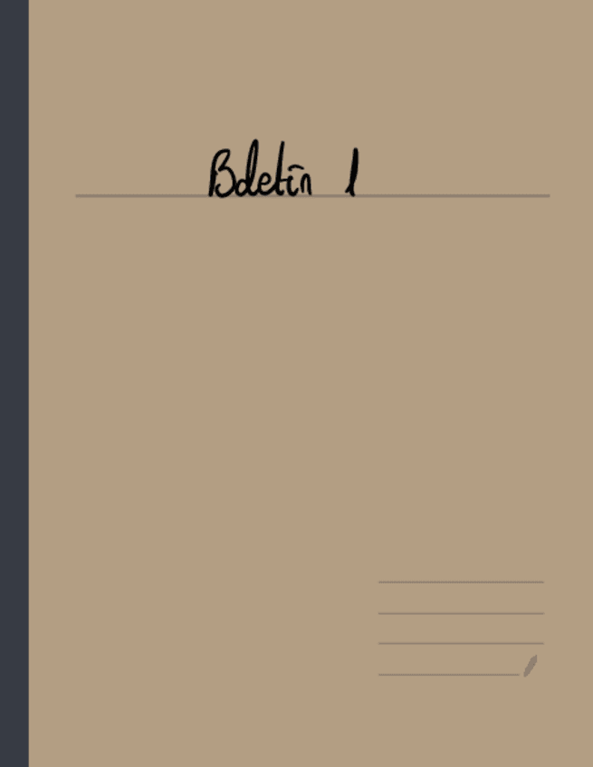 Miniatura del documento Boletin-1.pdf