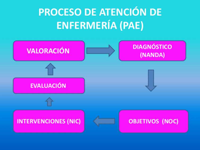 Miniatura del documento VALORACION-DE-ENFERMERIA-PRODUCTOS-SANITARIOS.pdf