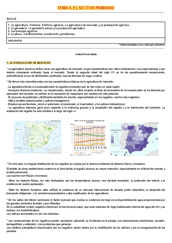 Miniatura del documento TEMA-4-EL-SECTOR-PRIMARIO.pdf