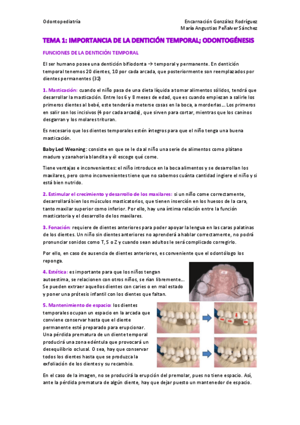 Miniatura del documento TEMA-1.pdf