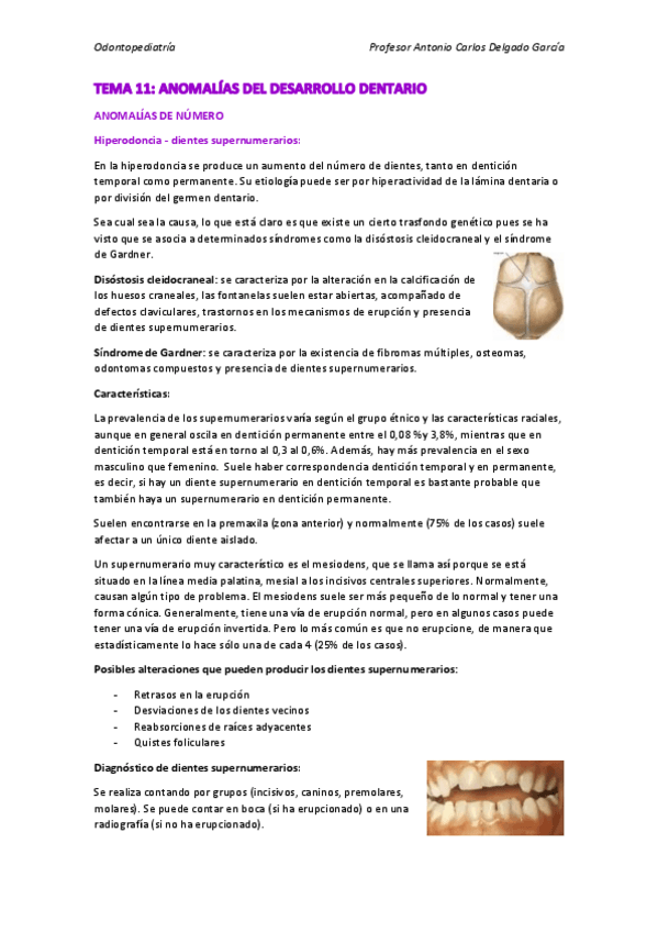 Miniatura del documento TEMA-11.pdf