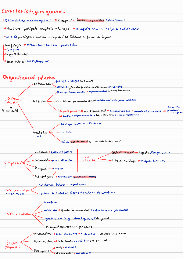 Miniatura del documento T6.pdf
