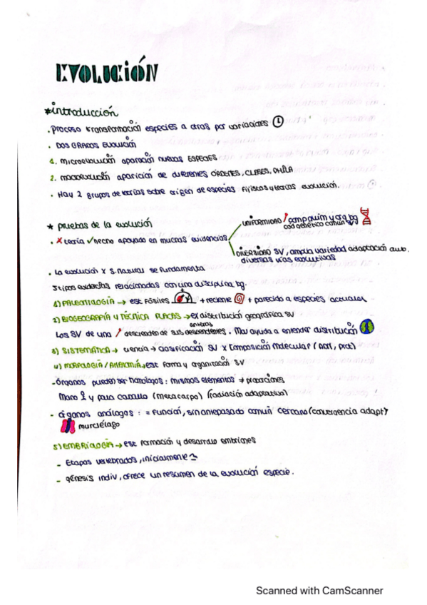 Miniatura del documento evolucion.pdf