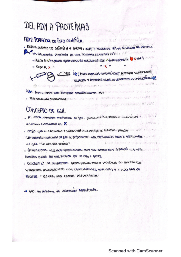 Miniatura del documento adn-a-proteinas.pdf