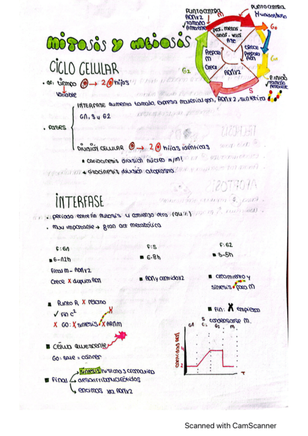 Miniatura del documento mitosis-y-meiosis.pdf